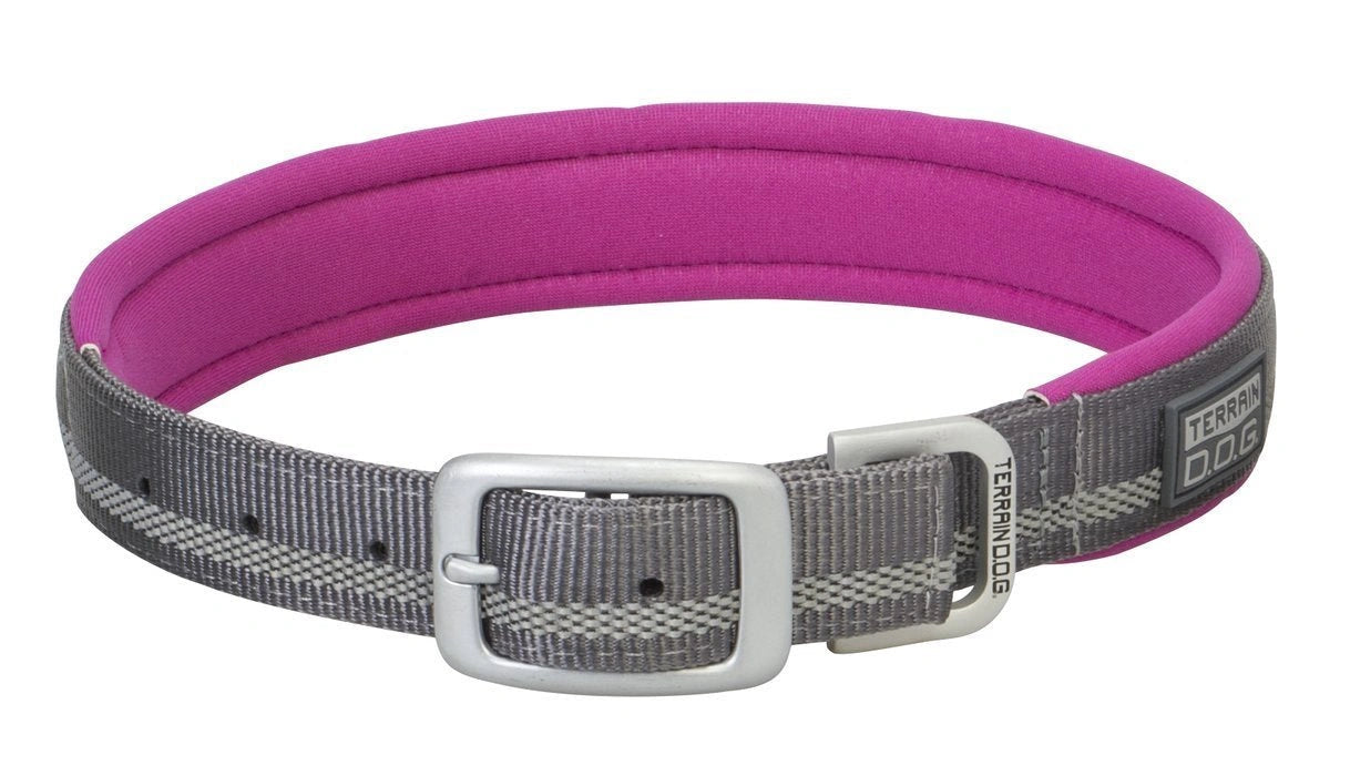 Weaver Leather Reflective Neoprene Lined Dog Collar (Sell out) - Hooves and Paws
