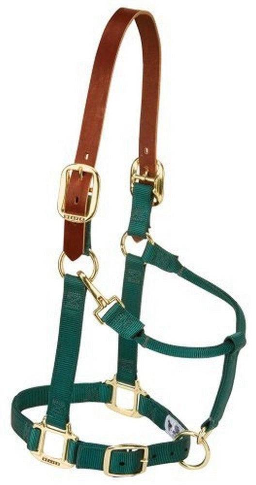 Weaver Leather Breakaway Nylon Halter – Replaceable Crown