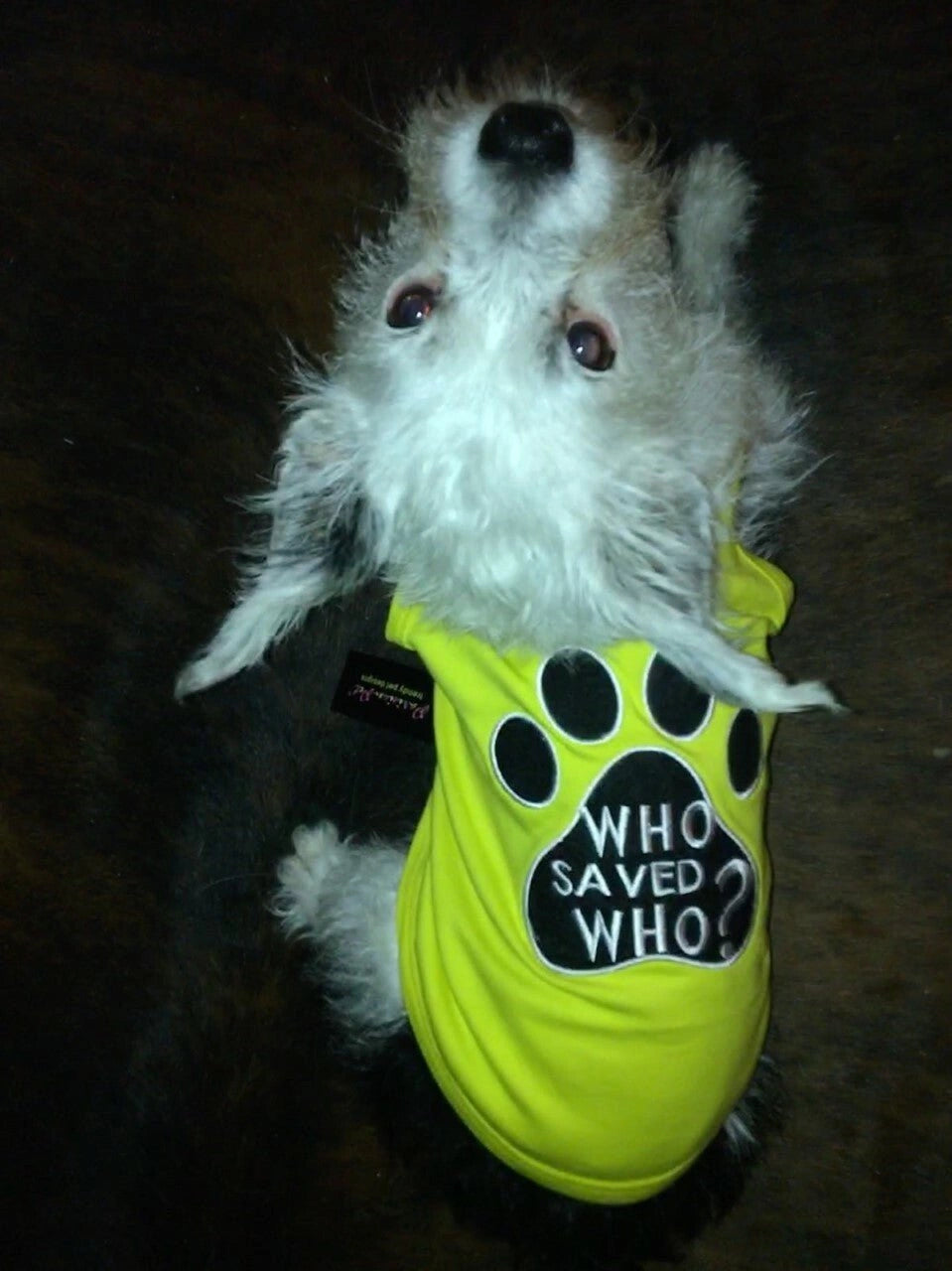 Parisian Pet Lifeguard On Doody Embroidered Tshirt - Hooves and Paws