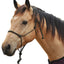 CLASSIC EQUINE Premium Rope Halter - Hooves and Paws