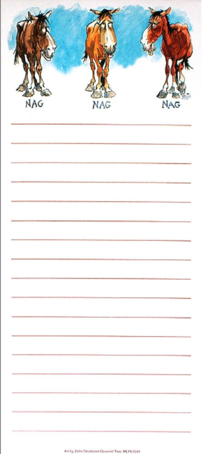 Leanin' Tree Inc Things to do Magnetic List Pad - 60 Sheets, 9" x 4" Recycled Paper