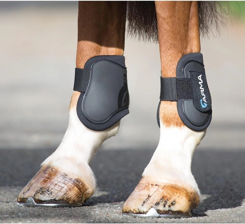 Shires ARMA Rear Fetlock Boots 1891 - Hooves and Paws