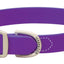 Weaver Leather Terrain D.O.G. Brahma Webb Dog Collar - Weather Resistant & Quick Drying