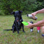 LoveWally Outdoor Adventure Gear 25oz Dog Water Bottle Travel Bowl - Hooves and Paws