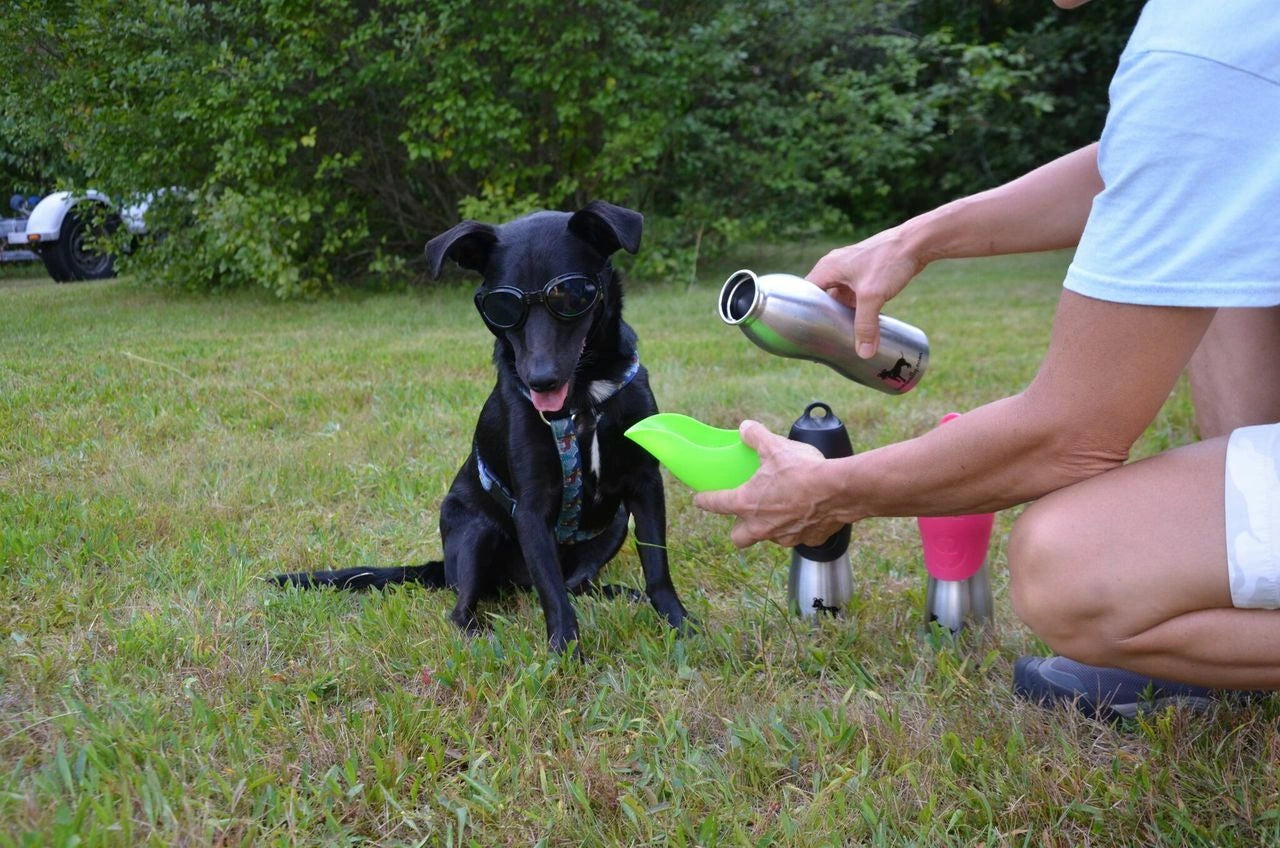 LoveWally Outdoor Adventure Gear 25oz Dog Water Bottle Travel Bowl - Hooves and Paws