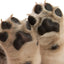 Eye Envy On The Paw Therapy Balm - 100% Natural Heal & Protect Cracked Paws, 1.45oz