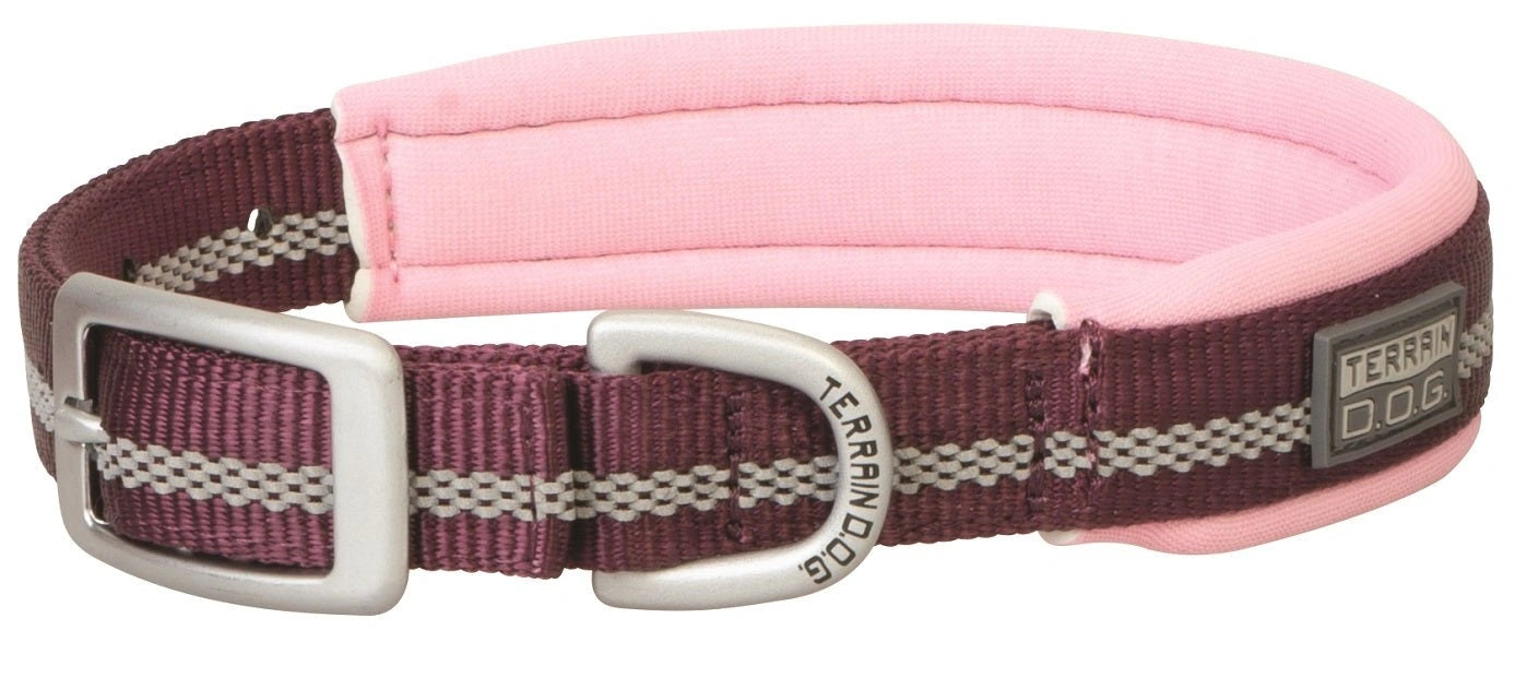 Weaver Terrain D.O.G. Durable Pet Outdoor Gear Reflective Neoprene Lined Collars - Hooves and Paws