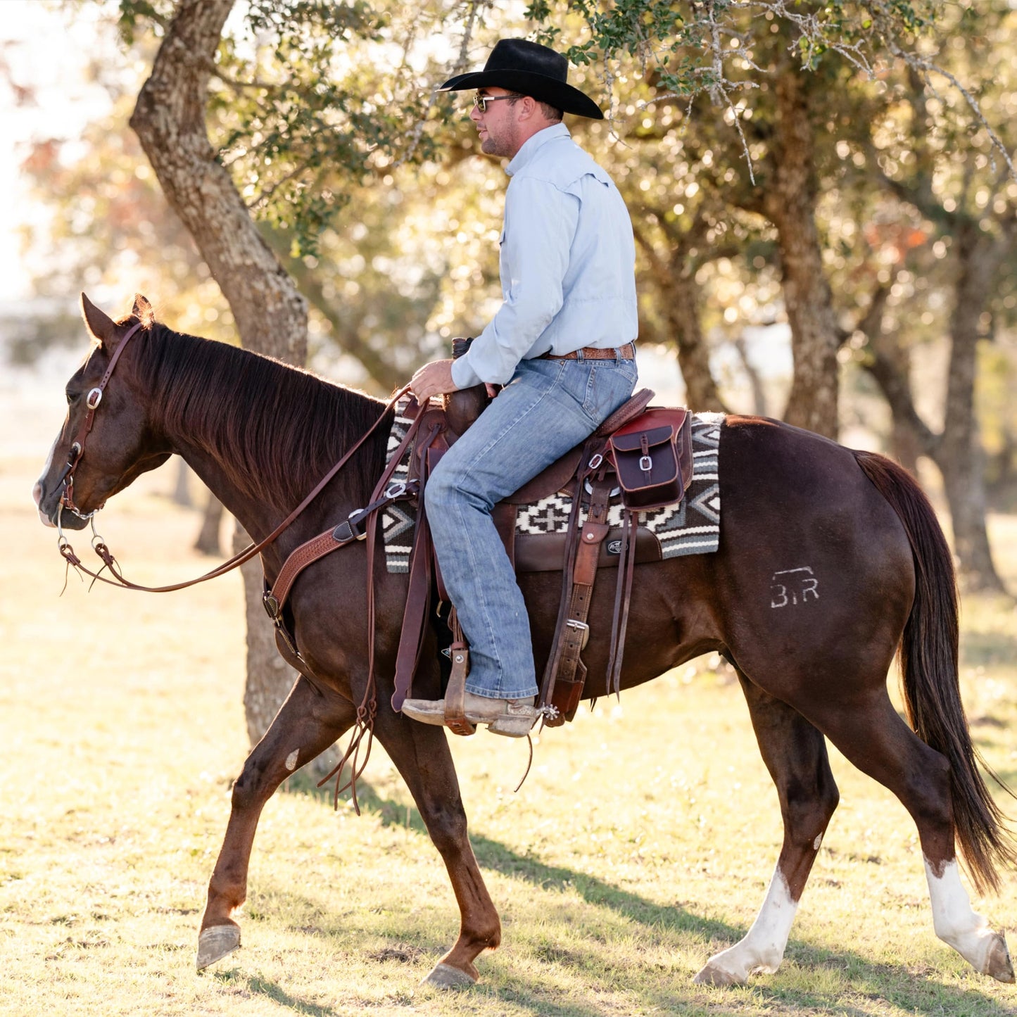 Professional's Choice Fuse Saddle Pad | Navajo Top with Steam-Pressed Bottom 33" x 38"