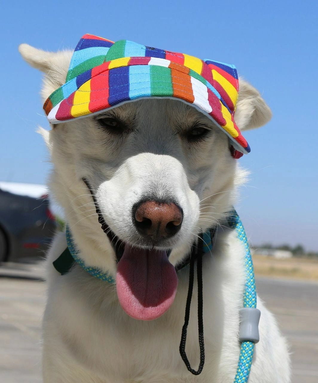 Dog Outdoor Adventure Gear Embroidered Pet Hat LoveWally Adjustable - Hooves and Paws