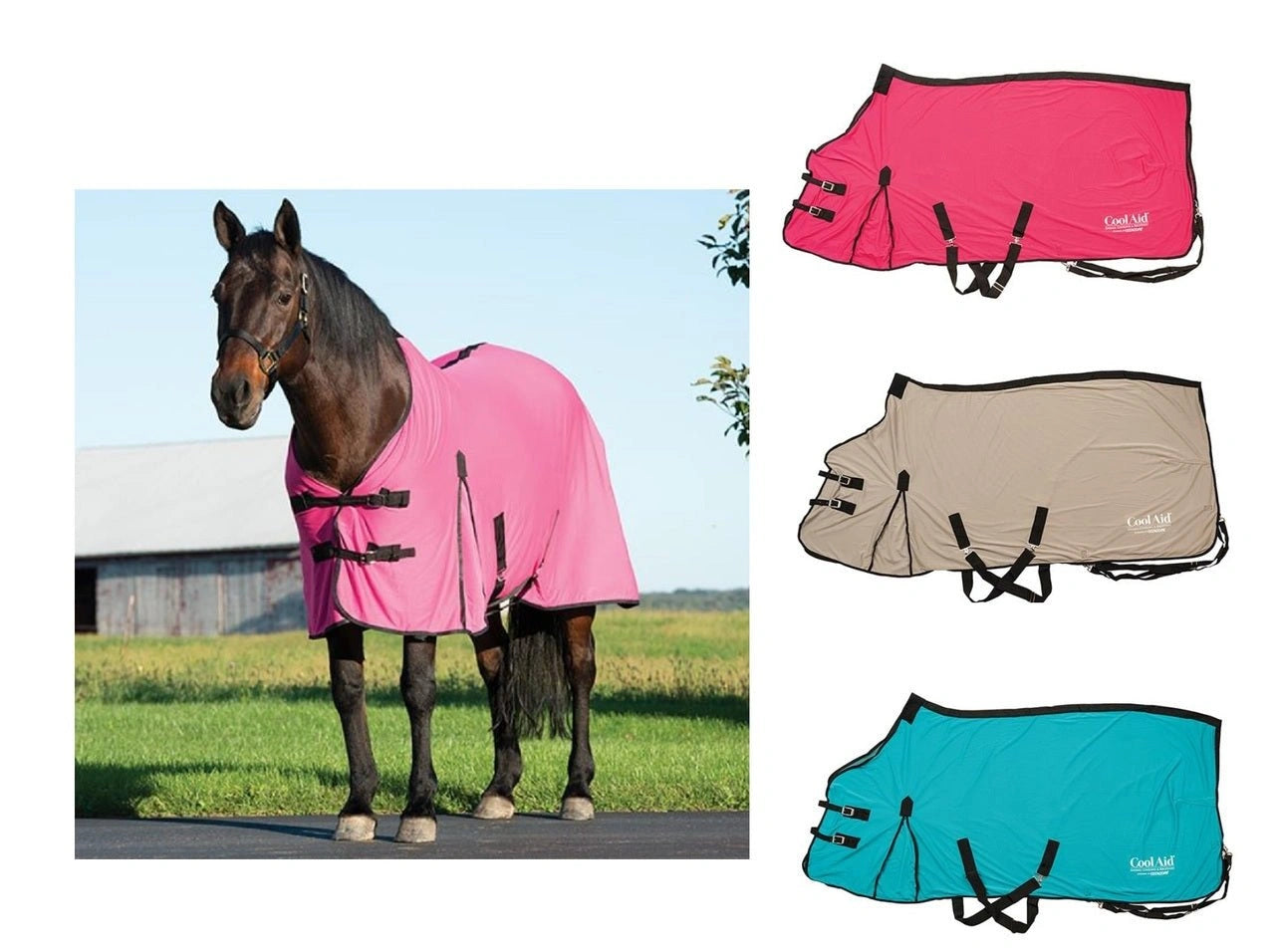 Weaver Leather CoolAidÂ® Horse Equine Cooling Coolcore Blanket - Hooves and Paws