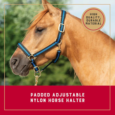 Weaver Leather Padded Nylon Horse Halter - Adjustable Large Comfort Halter with Snap Closures