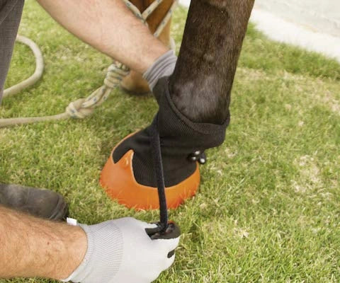 Shires Tubbease Hoof Sock - X-Large - Breathable Hoof Protection for Abscesses & Laminitis