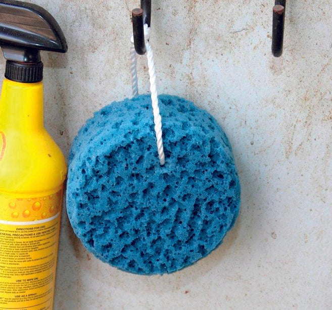 Professional's Choice Sponge On A Rope - Hang-Dry Bathing Sponge