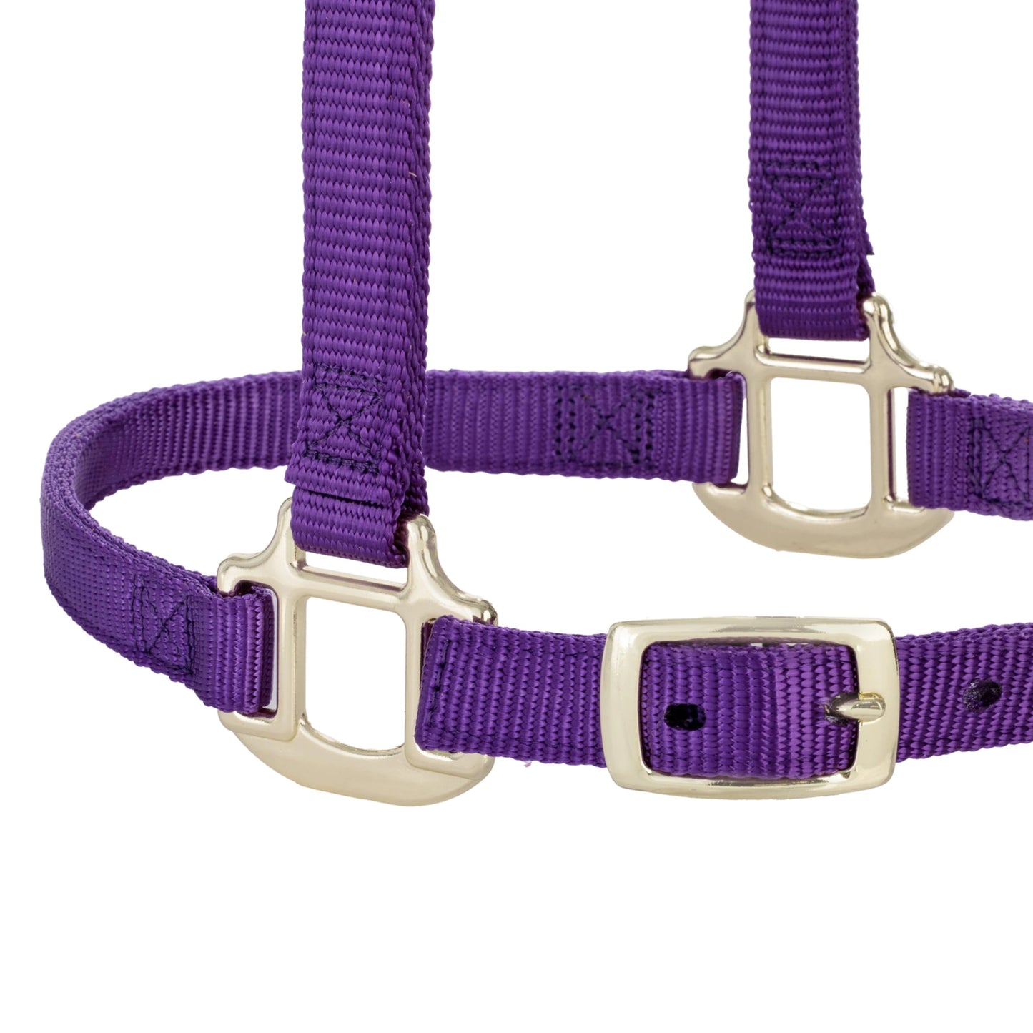 Weaver Leather Breakaway Nylon Halter – Replaceable Crown