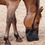 Cashel Feed Rite Bag - Breathable Mesh Horse Feed Bag with Adjustable Straps & Spill-Proof Design
