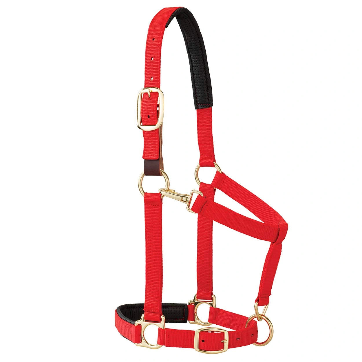Weaver Leather Breakaway Halter - Padded Crown Safety Release