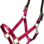 ARMA Shires Nylon Halter with Breakaway Leather Head Strap 90027 - Hooves and Paws