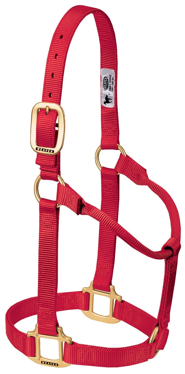 Weaver Equine Horse Halter: Comfort, Durability & Perfect Fit for Your Horse
