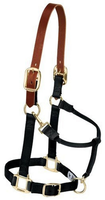 Weaver Equine Breakaway Horse 1" Halter, Adjustable Chin & Throat Snap