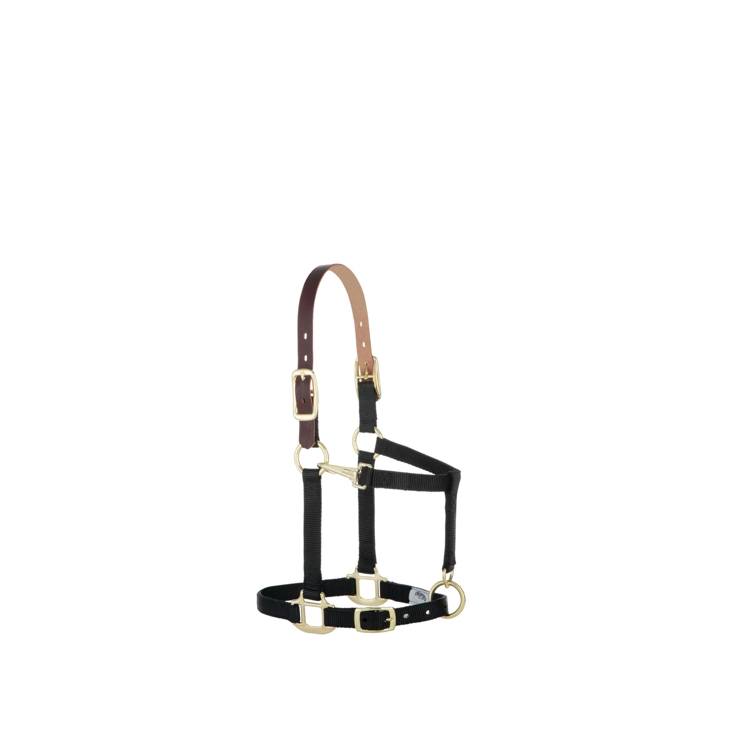 Weaver Leather Breakaway Nylon Halter – Replaceable Crown