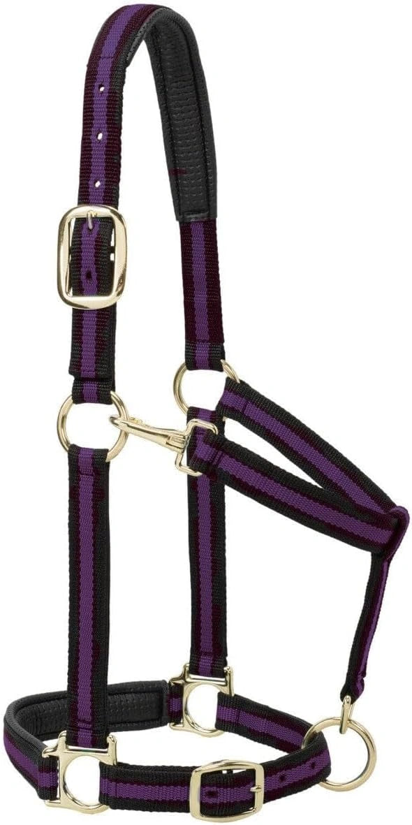 Weaver Leather Padded Nylon Halter – Triple-Adjust Comfort Fit