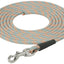 Weaver Leather Terrain D.O.G. Training Lead - Hooves and Paws