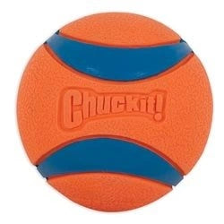 Chuck It Ultra Ball - Hooves and Paws