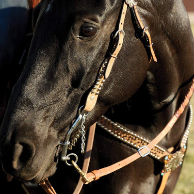 Circle Y Carol Goosetree Chain Short Gag Bit - Enhance Horse Control