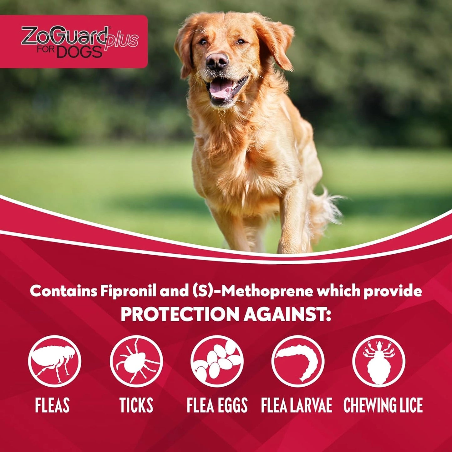 ZoGuard Plus Flea and Tick Prevention for Dogs - 3 Month Supply (Sell out)