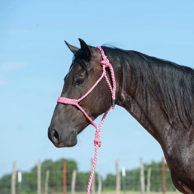Cashel Flat Braid Halter and Lead rope HTR - BMTH - Hooves and Paws