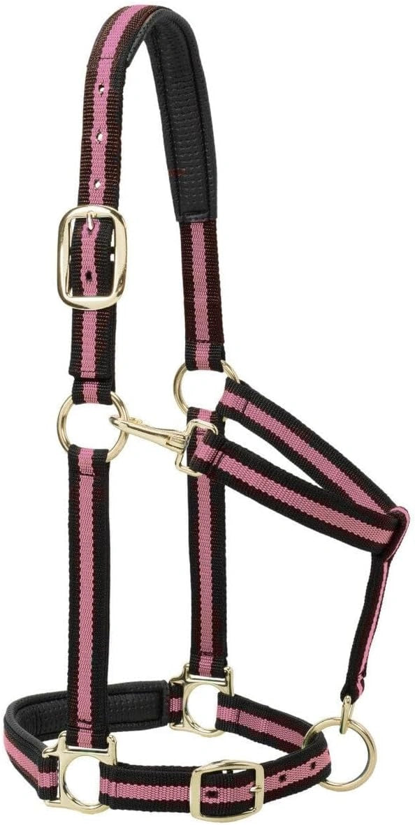 Weaver Leather Padded Nylon Halter – Triple-Adjust Comfort Fit