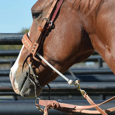Classic Equine Joe Beaver Bit: Enhanced Control & Performance