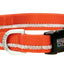 Weaver Leather Terrain D.O.G. Reflective Snap - n - Go Collar - Hooves and Paws