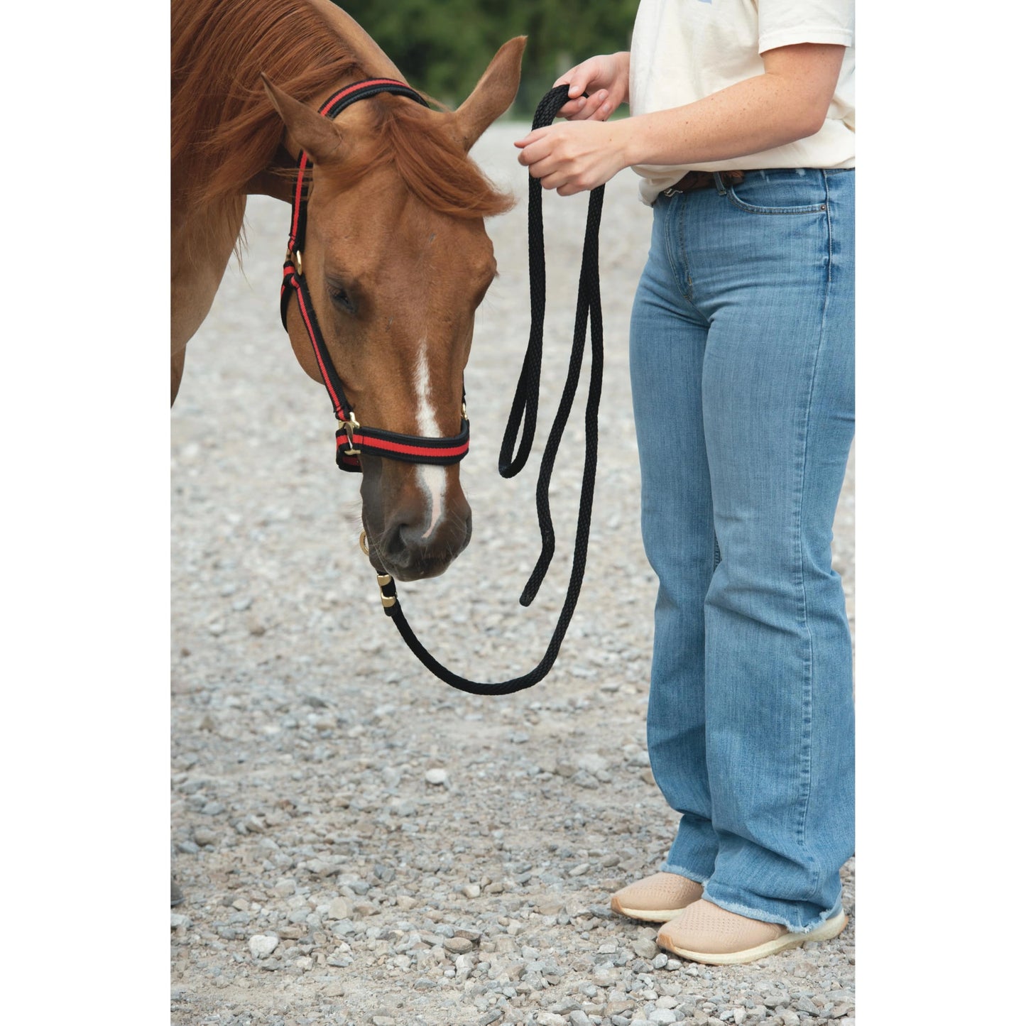 Weaver Equine Performance Lead Rope: Durable & Comfortable for Horses