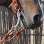 Classic Equine Performance Ported Chain Bit - 7.5" Cheek with Copper Inlay Mouthpiece