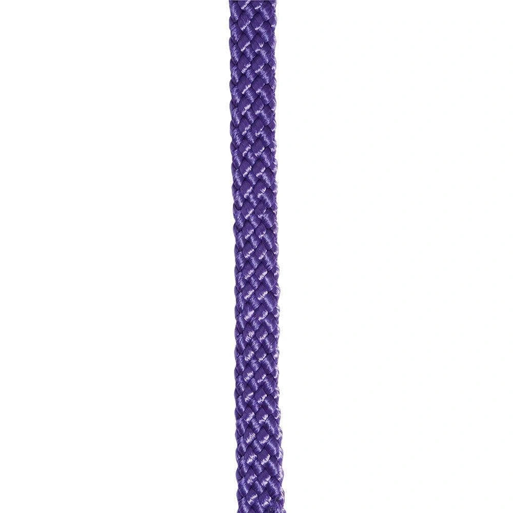 Professional's Choice Sports Medicine Products Braided Roping Reins Horse Training Equipment 5/8" x 8' - Hooves and Paws