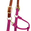 Weaver Leather Breakaway Nylon Halter – Replaceable Crown