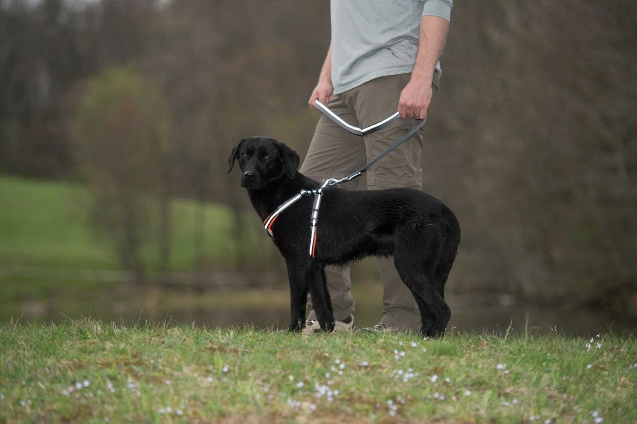 Weaver Terrain D.O.G. Durable Pet Outdoor Gear Reflective Neoprene Lined Harness - Hooves and Paws