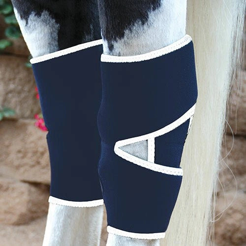 Professionals Choice Magnetic Hock Boot - Hooves and Paws