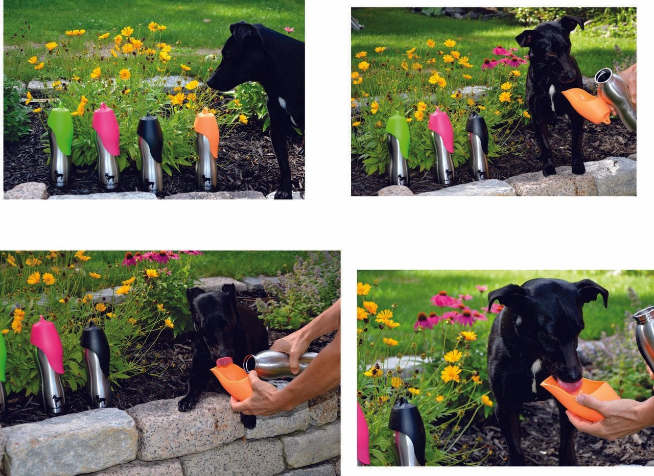 LoveWally Outdoor Adventure Gear 25oz Dog Water Bottle Travel Bowl - Hooves and Paws