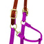 Weaver Leather Breakaway Nylon Halter – Replaceable Crown