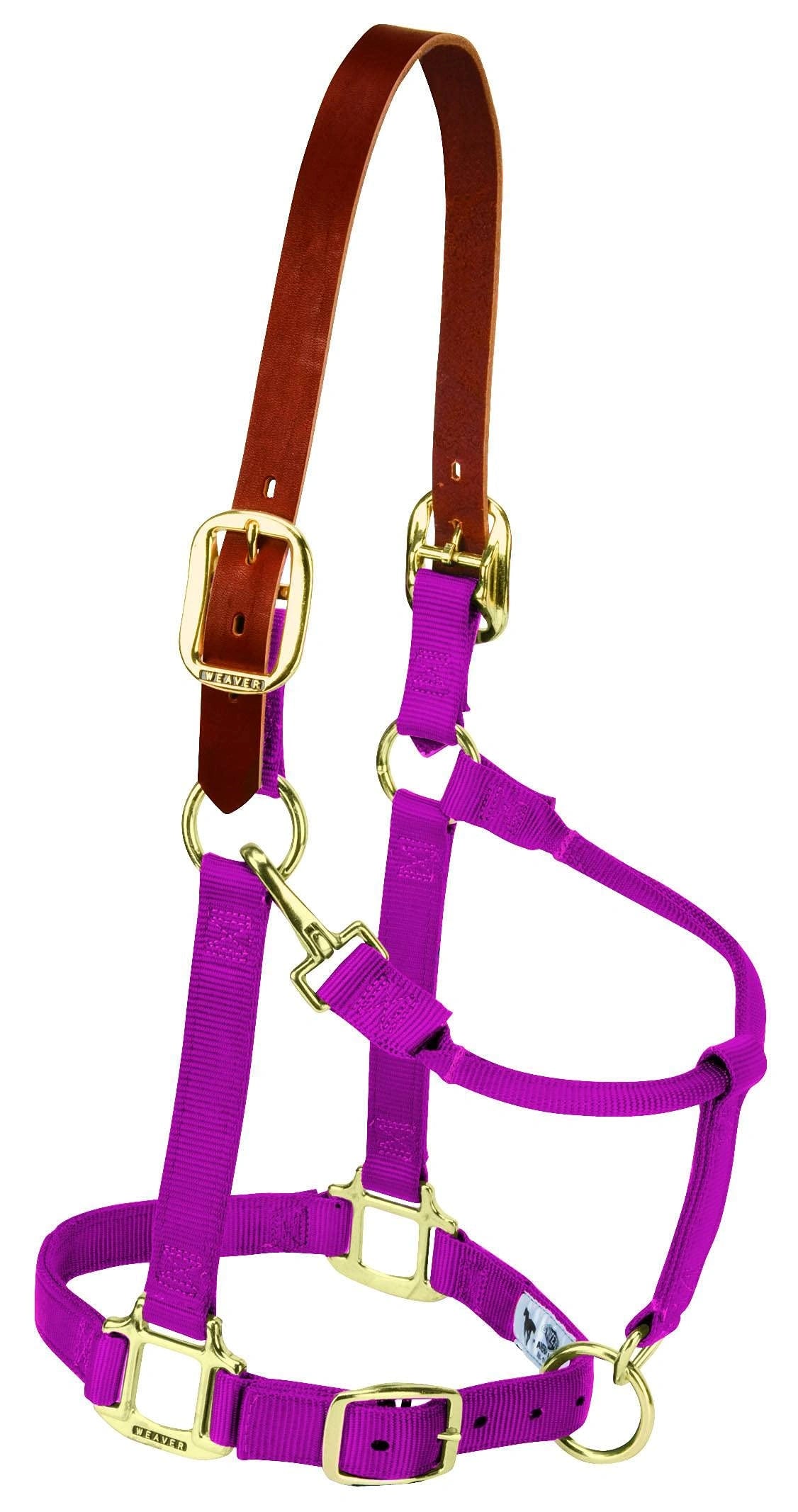 Weaver Leather Breakaway Nylon Halter – Replaceable Crown