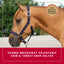 Weaver Leather Breakaway Halter - Padded Crown Safety Release
