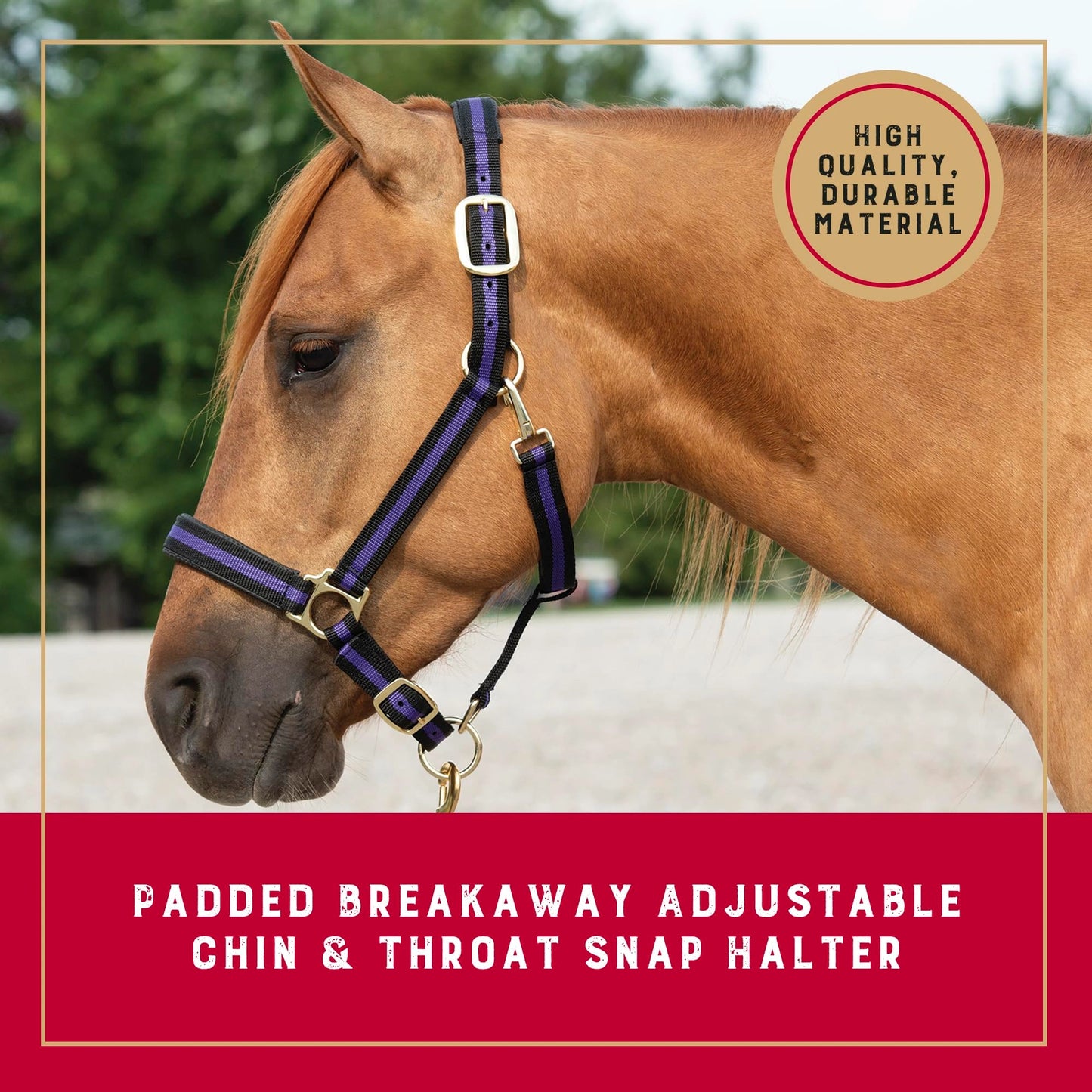 Weaver Leather Breakaway Halter - Padded Crown Safety Release