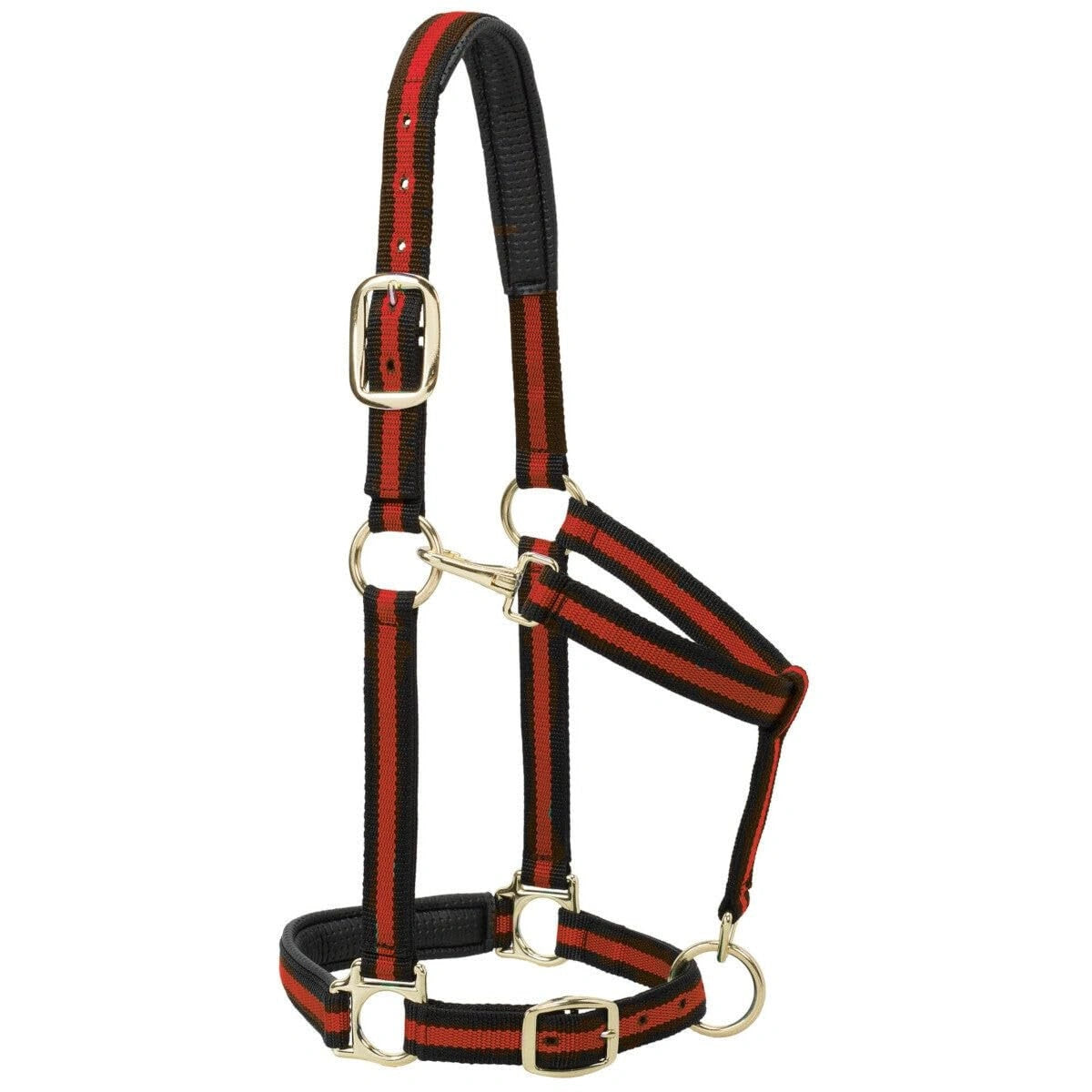 Weaver Equine Horse Halter: Comfort, Durability & Perfect Fit for Your Horse