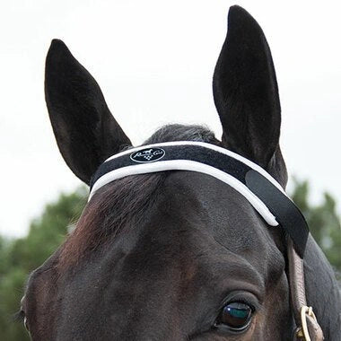 Professionals Choice Magnetic Brow Piece - Hooves and Paws