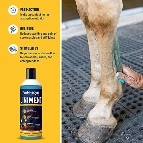Vetricyn Mobility Horse & Rider Liniment - Fast Acting Muscle & Joint Relief for Equine & Human