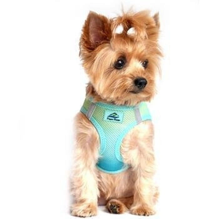 Doggie Design American River Dog Harness Ombre Collection - Hooves and Paws