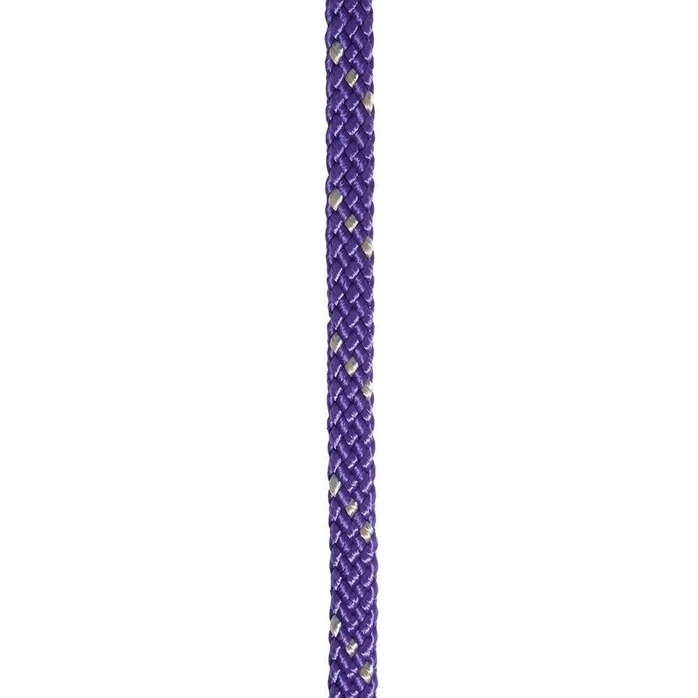 Professional's Choice Sports Medicine Products Braided Roping Reins Horse Training Equipment 5/8" x 8' - Hooves and Paws