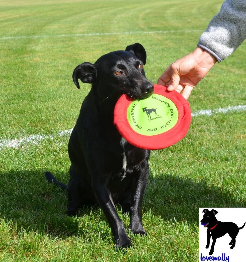 LoveWally The Original Soft Bite Floppy Disc Flyer Outdoor Adventure Gear Dog Toy - Hooves and Paws